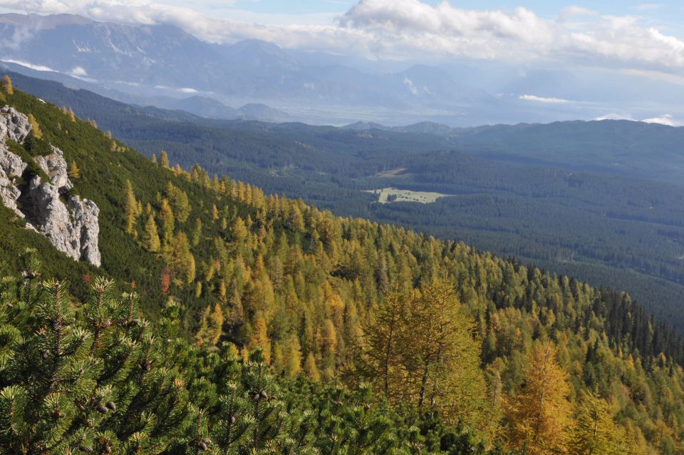 Pokljuka, Viševnik, Bl. koča I. 13.10.2013 - foto povečava