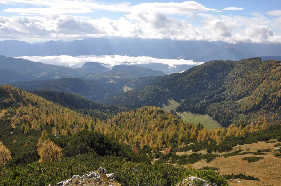 Pokljuka, Viševnik, Bl. koča I. 13.10.2013 - foto povečava