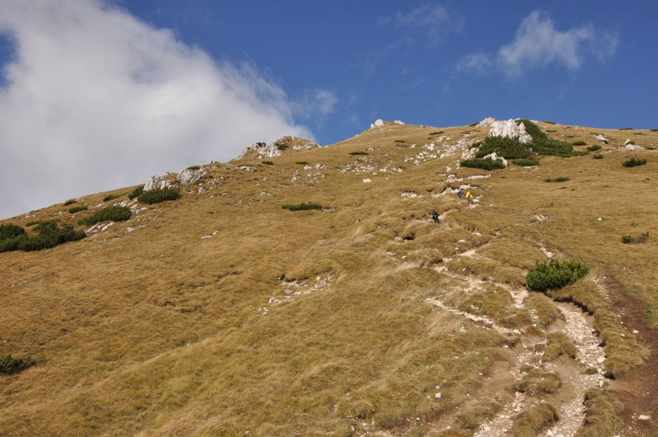 Pokljuka, Viševnik, Bl. koča I. 13.10.2013 - foto povečava