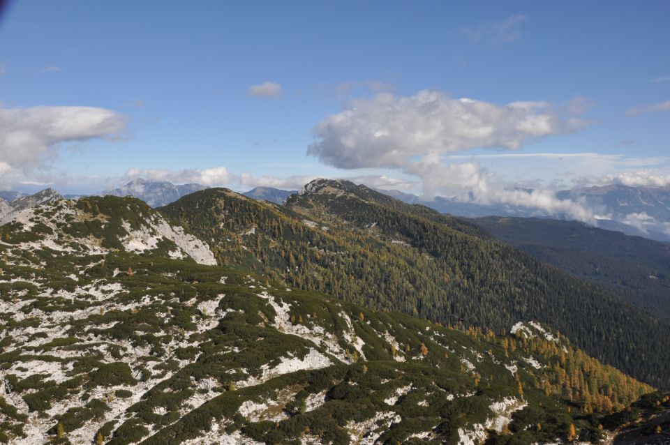 Pokljuka, Viševnik, Bl. koča I. 13.10.2013 - foto povečava