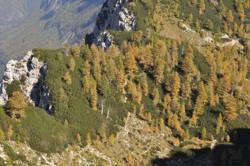 Pokljuka, Viševnik, Bl. koča I. 13.10.2013 - foto povečava