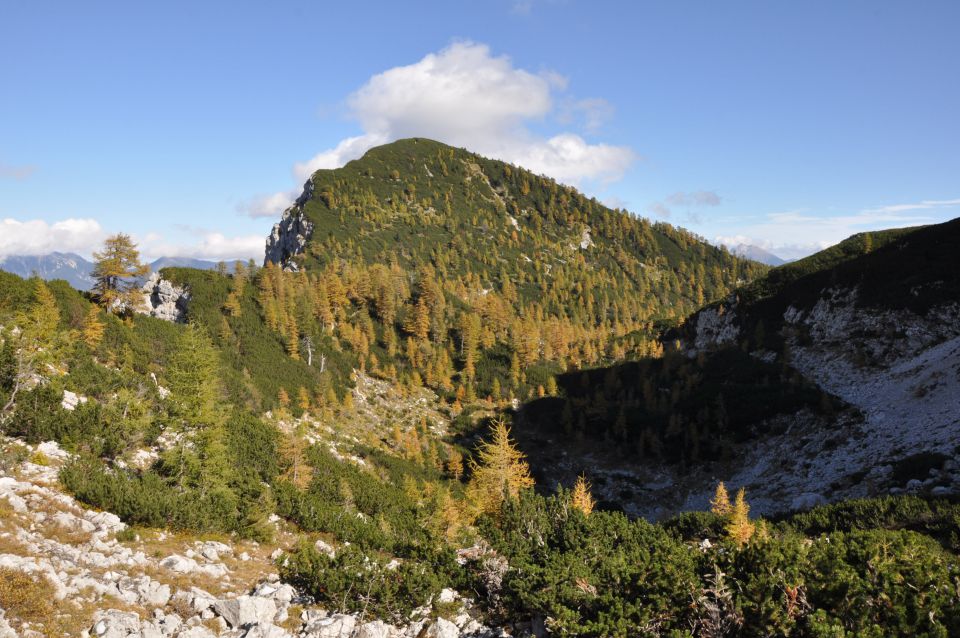 Pokljuka, Viševnik, Bl. koča I. 13.10.2013 - foto povečava