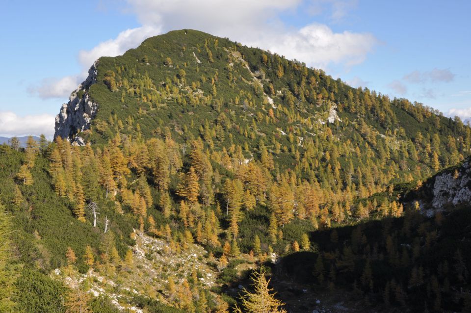 Pokljuka, Viševnik, Bl. koča I. 13.10.2013 - foto povečava