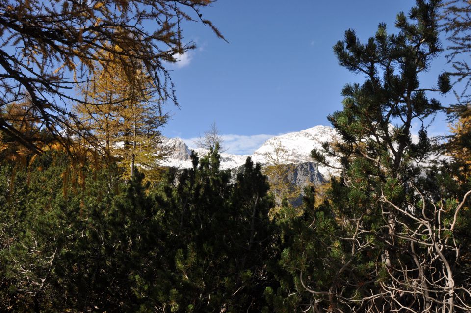 Pokljuka, Viševnik, Bl. koča I. 13.10.2013 - foto povečava