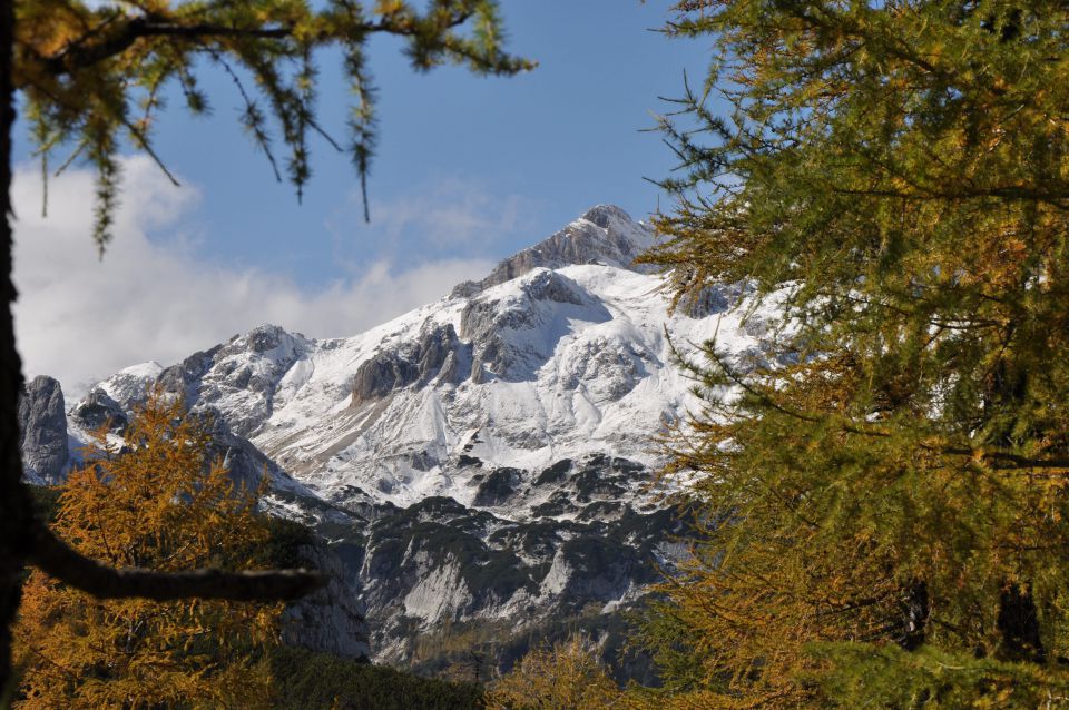 Pokljuka, Viševnik, Bl. koča II. 13.10.2013 - foto povečava