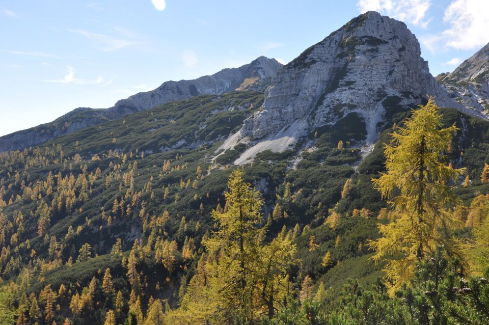 Pokljuka, Viševnik, Bl. koča II. 13.10.2013 - foto povečava