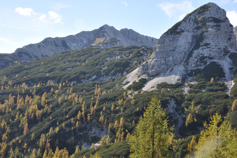 Pokljuka, Viševnik, Bl. koča II. 13.10.2013 - foto povečava