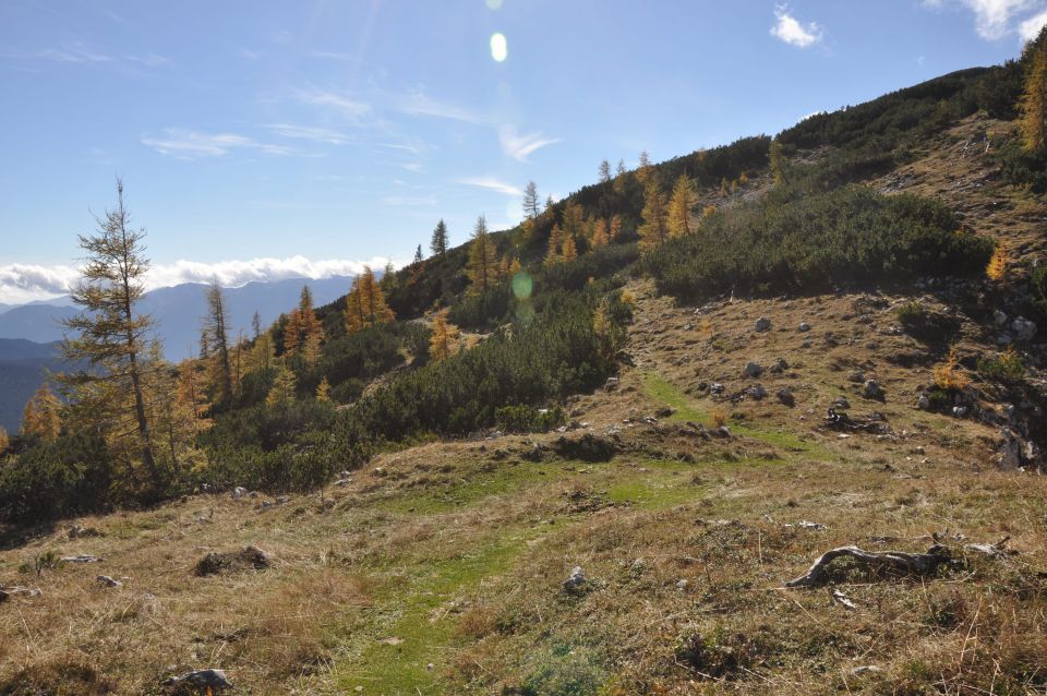 Pokljuka, Viševnik, Bl. koča II. 13.10.2013 - foto povečava