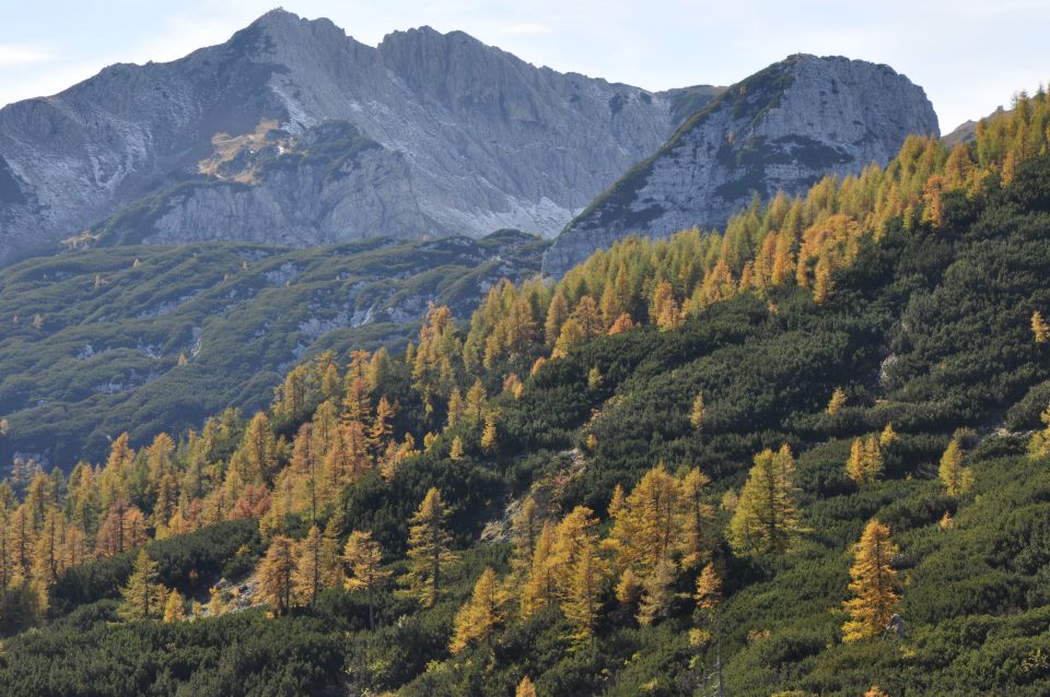 Pokljuka, Viševnik, Bl. koča II. 13.10.2013 - foto povečava