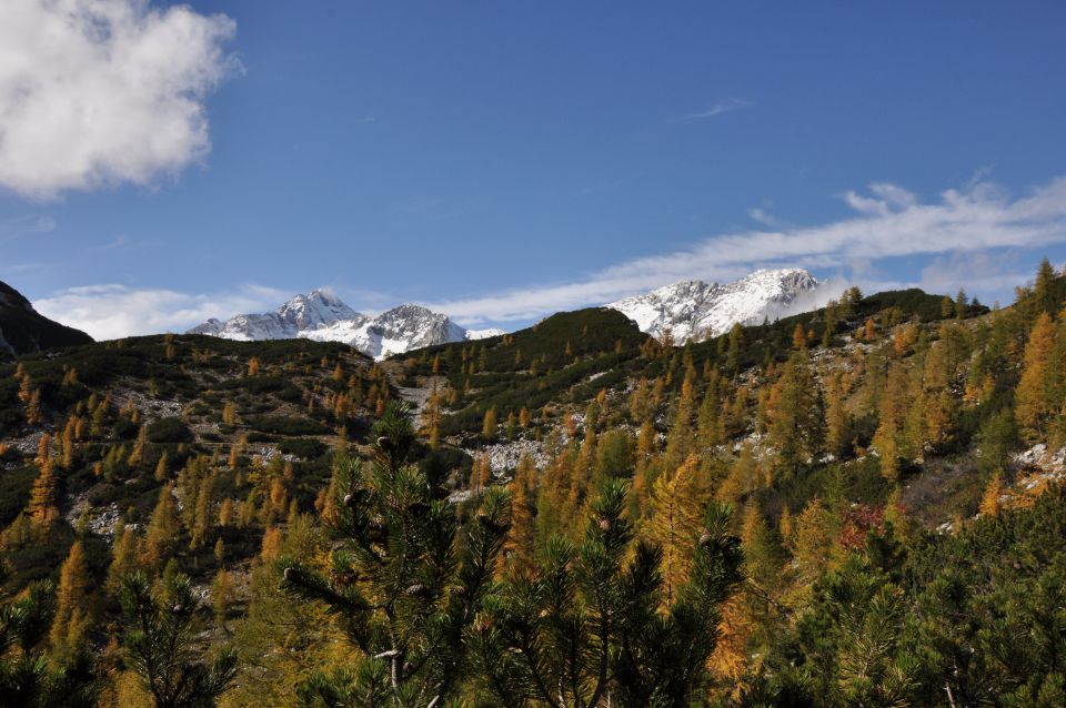 Pokljuka, Viševnik, Bl. koča II. 13.10.2013 - foto povečava