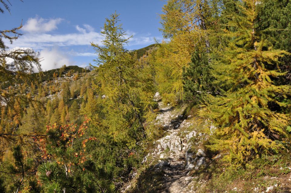 Pokljuka, Viševnik, Bl. koča II. 13.10.2013 - foto povečava