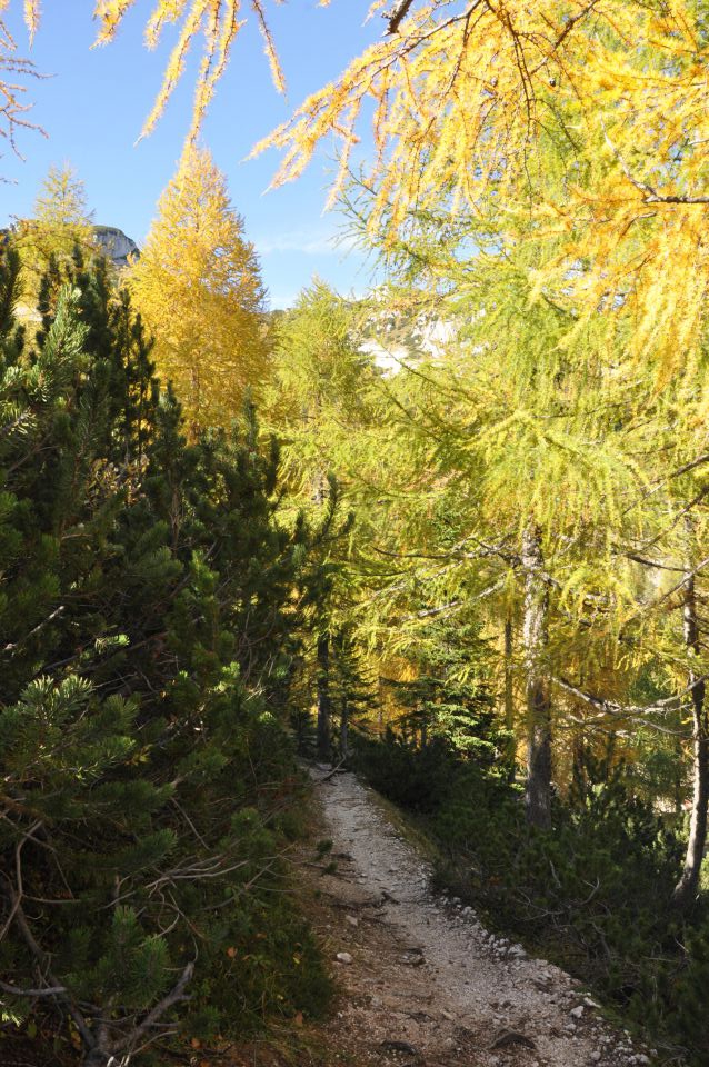 Pokljuka, Viševnik, Bl. koča II. 13.10.2013 - foto povečava