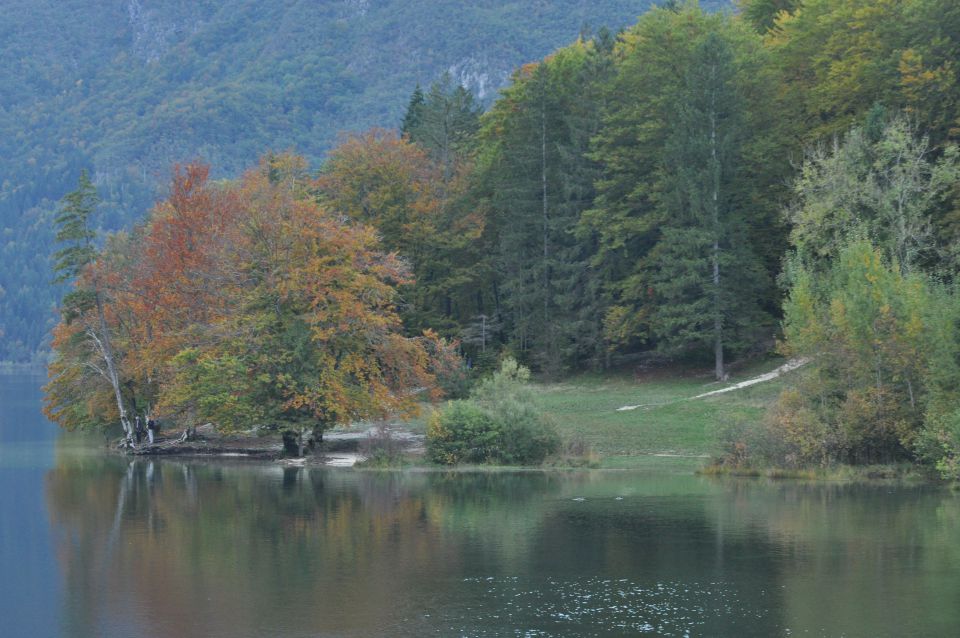 Pokljuka, Viševnik, Bl. koča II. 13.10.2013 - foto povečava