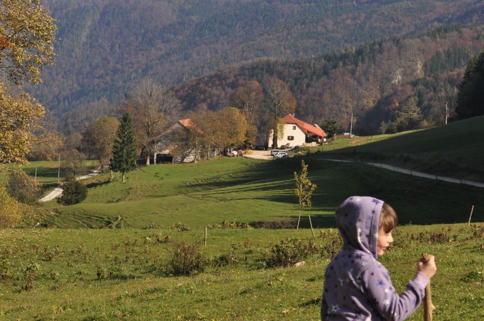 Savinjska 19.10.2013 - foto povečava