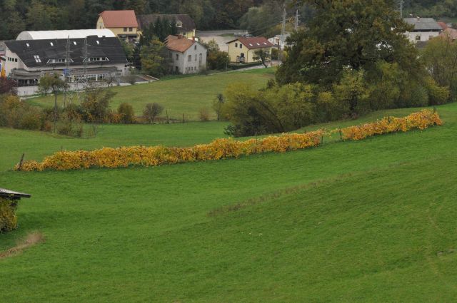 Šmohor 20.10.2013 - foto