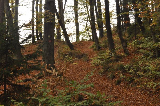 Šmohor 20.10.2013 - foto