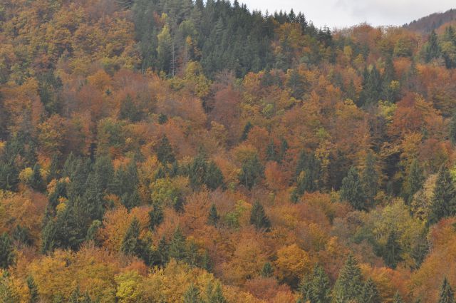 Šmohor 20.10.2013 - foto