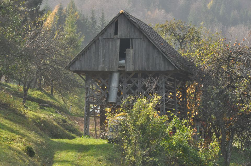 Lisca 27.10.2013 - foto povečava