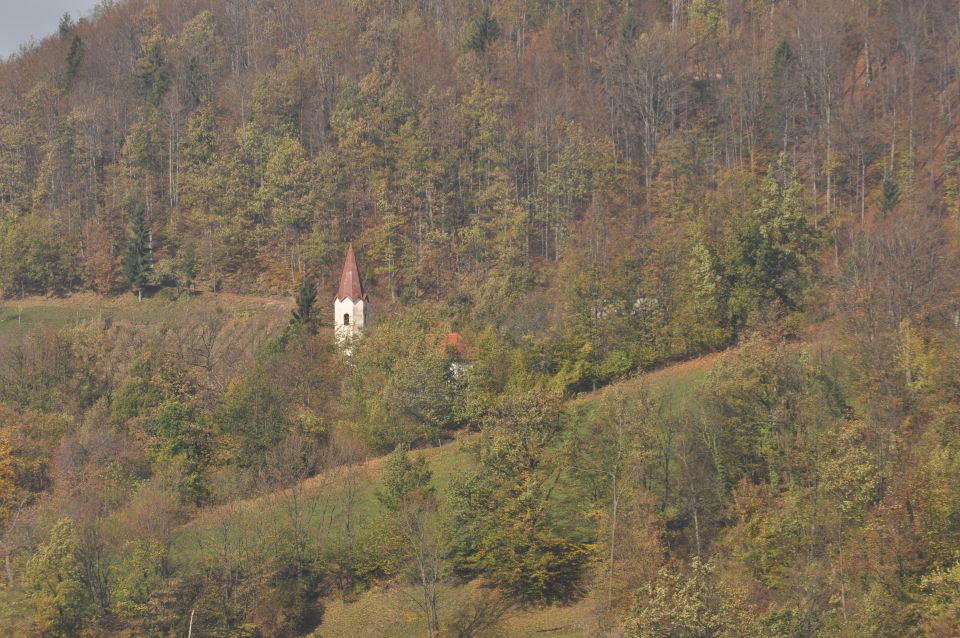 Lisca 27.10.2013 - foto povečava