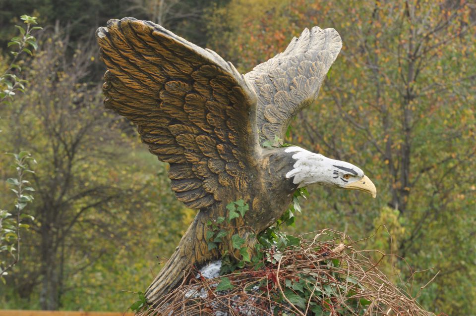 Lisca 27.10.2013 - foto povečava