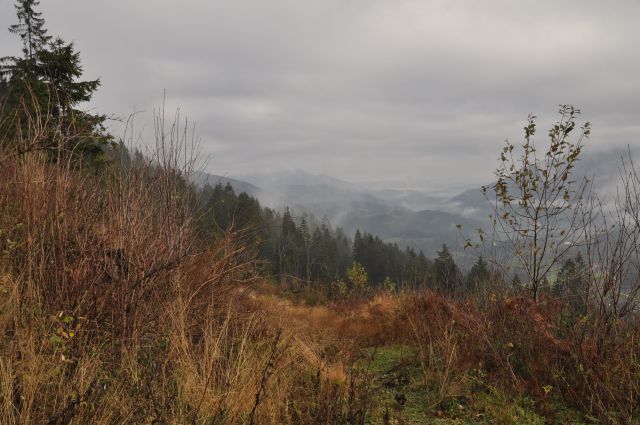 Savinjska 16.11.2013 - foto