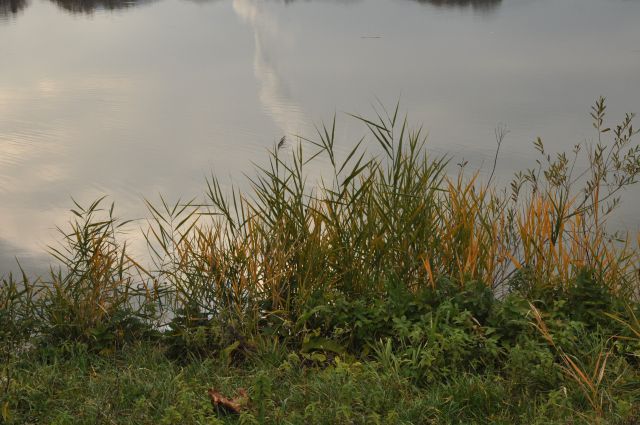 Velenjsko jezero 17.11.2013 - foto