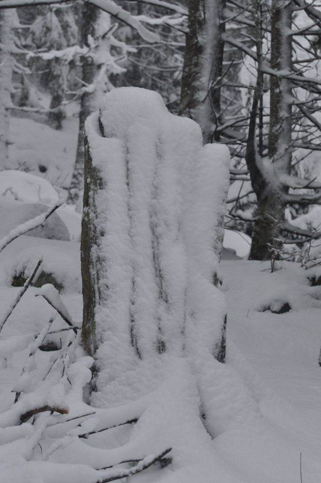 Golte sneg 23.11.2013 - foto povečava