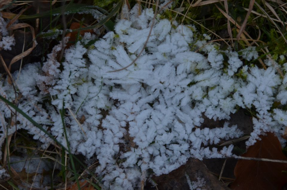 Savinjska 7.12.2013 - foto povečava