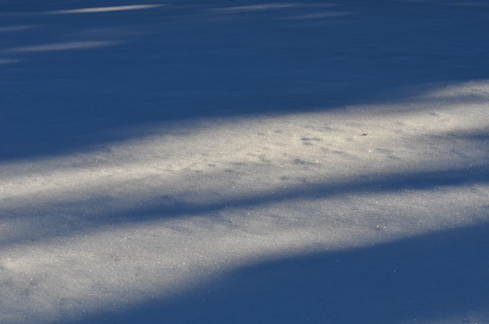 Smučanje Rogla 14.12.2013 - foto povečava