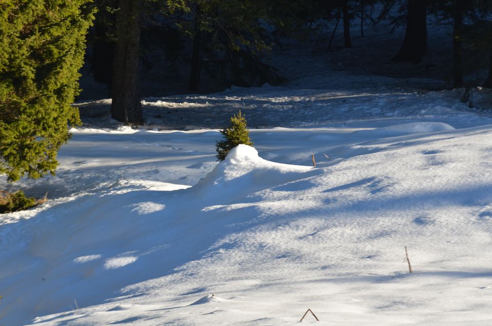 Smučanje Rogla 14.12.2013 - foto povečava