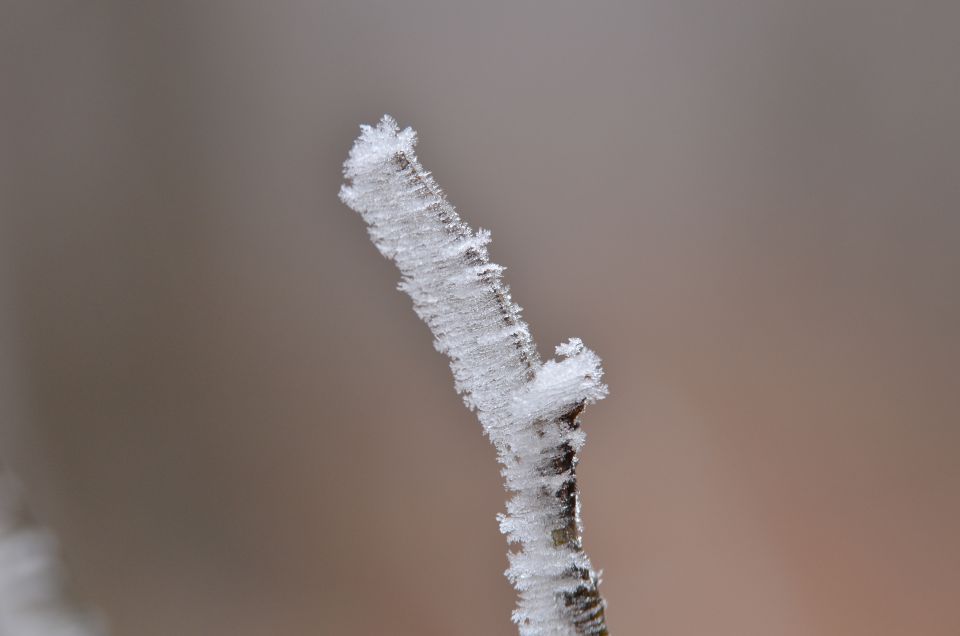 Celjska koča, Grmada 15.12.2013 - foto povečava