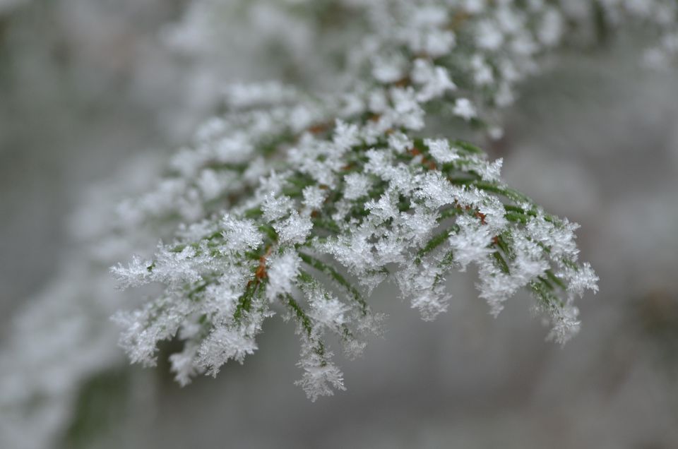 Celjska koča, Grmada 15.12.2013 - foto povečava