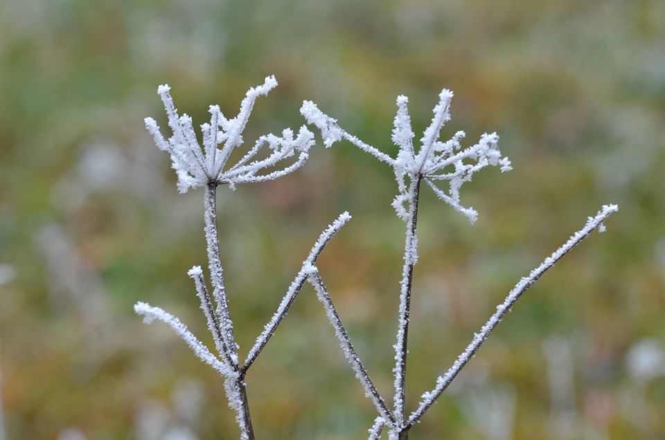 Celjska koča, Grmada 15.12.2013 - foto povečava