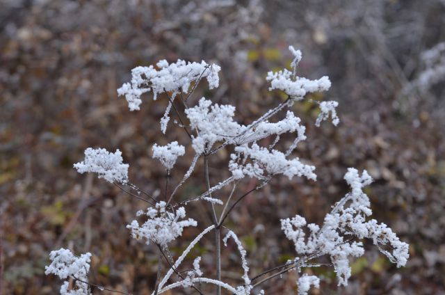 Celjska koča, Grmada 15.12.2013 - foto