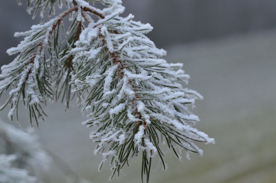 Celjska koča, Grmada 15.12.2013 - foto povečava