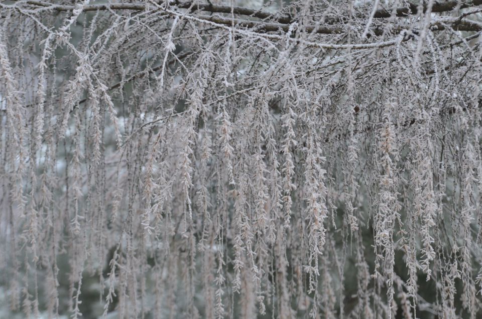 Celjska koča, Grmada 15.12.2013 - foto povečava