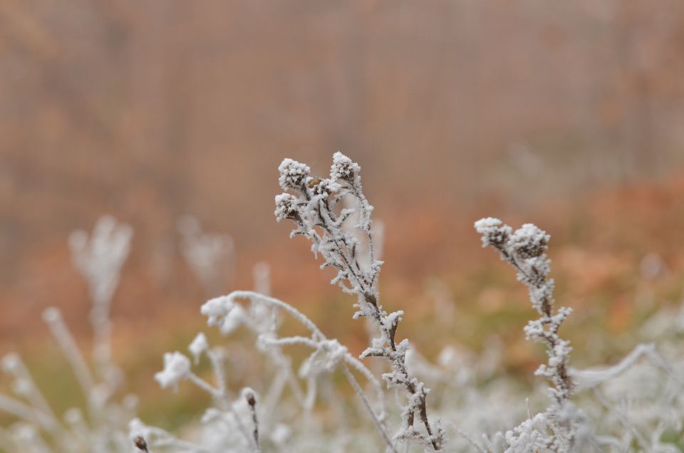 Celjska koča, Grmada 15.12.2013 - foto povečava