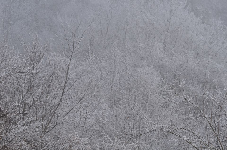 Celjska koča, Grmada 15.12.2013 - foto povečava