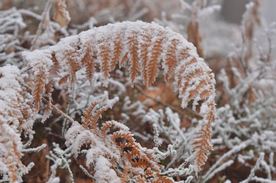 Celjska koča, Grmada 15.12.2013 - foto povečava