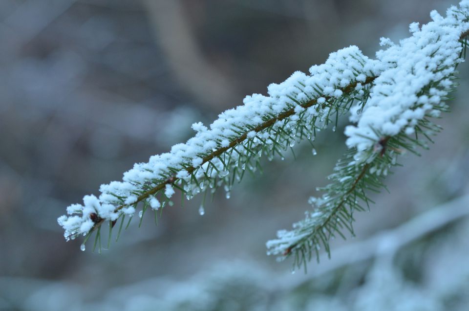 Celjska koča, Grmada 15.12.2013 - foto povečava