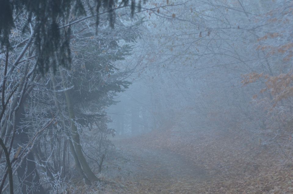 Celjska koča, Grmada 15.12.2013 - foto povečava