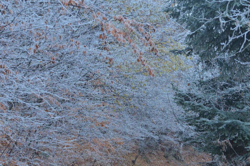 Celjska koča, Grmada 15.12.2013 - foto povečava