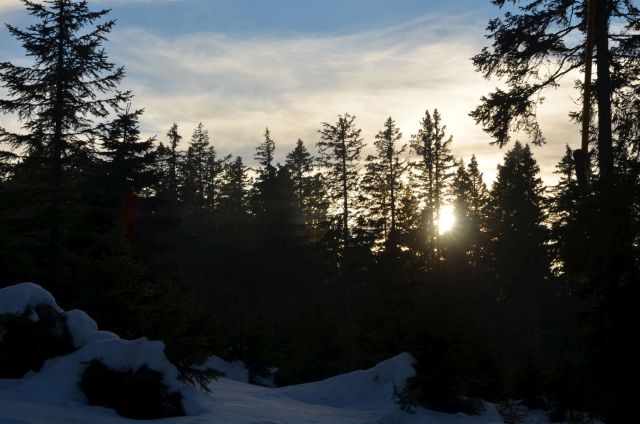 Smučanje Rogla 22.12.2013 - foto