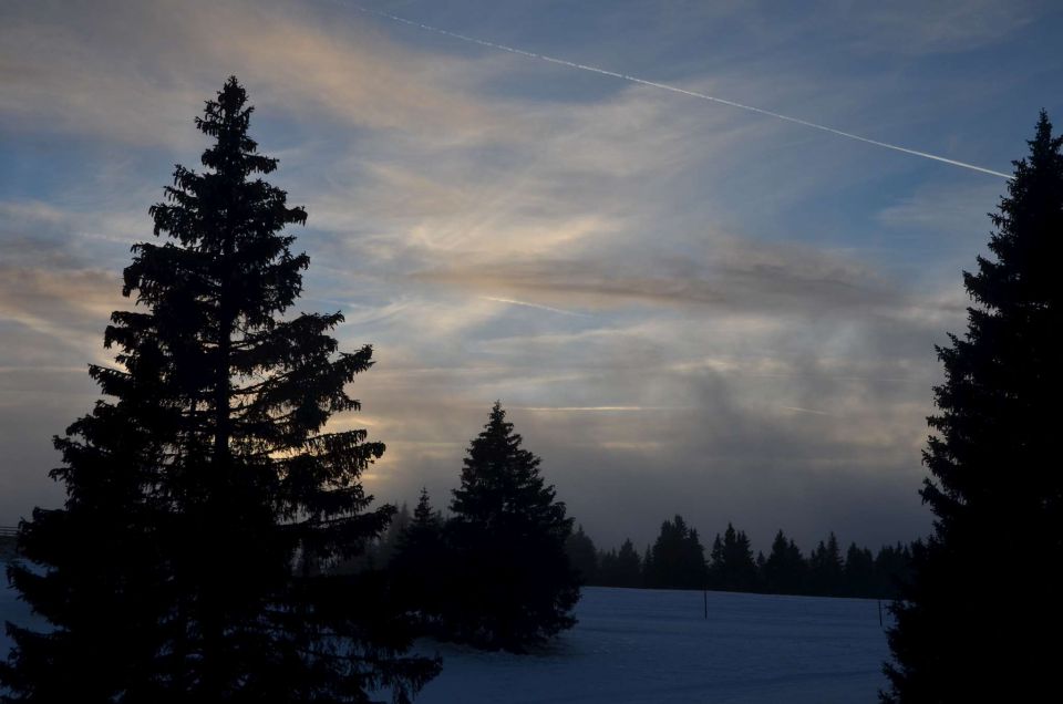 Smučanje Rogla 22.12.2013 - foto povečava