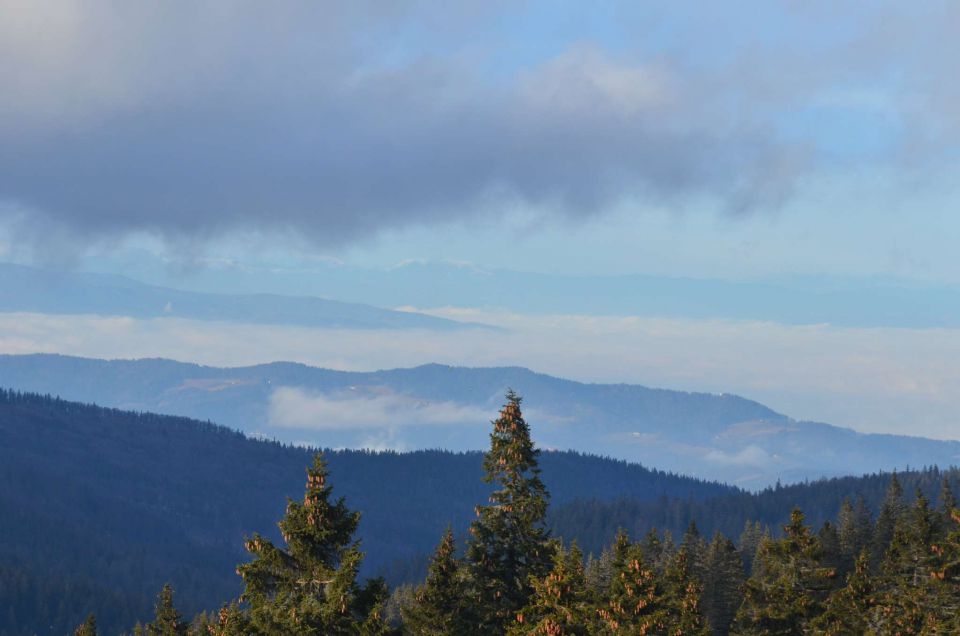 Smučanje Rogla 28.12.2013 - foto povečava