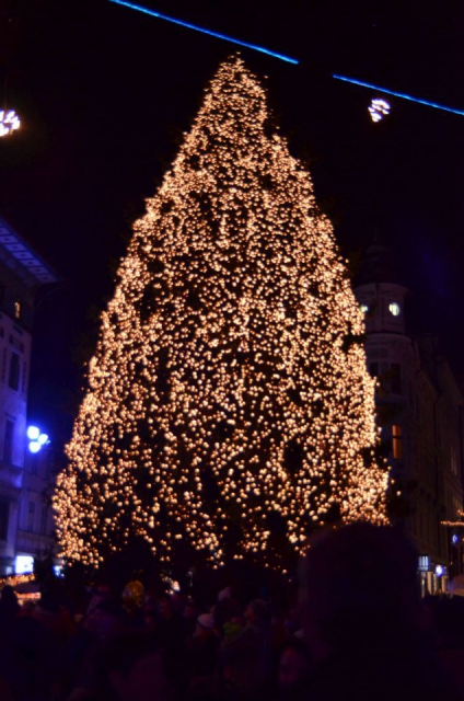 Z vlakom v Ljubljano 30.12.2013 - foto