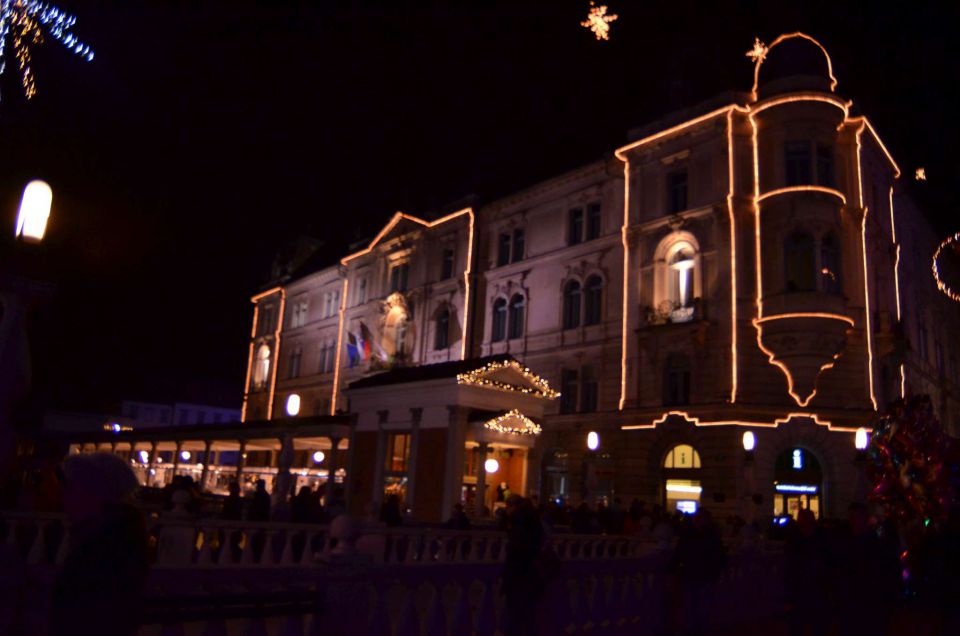 Z vlakom v Ljubljano 30.12.2013 - foto povečava