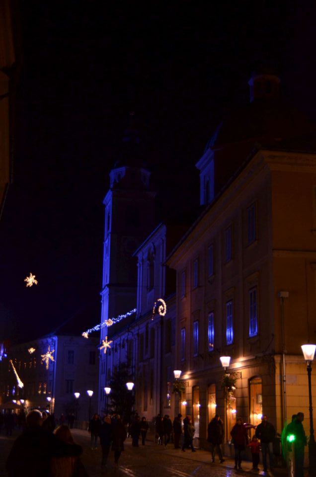 Z vlakom v Ljubljano 30.12.2013 - foto povečava