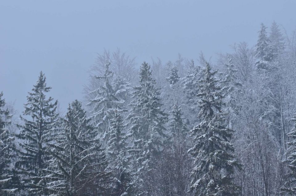 Novoletni utrinki in predvečer 70. roj. dne - foto povečava