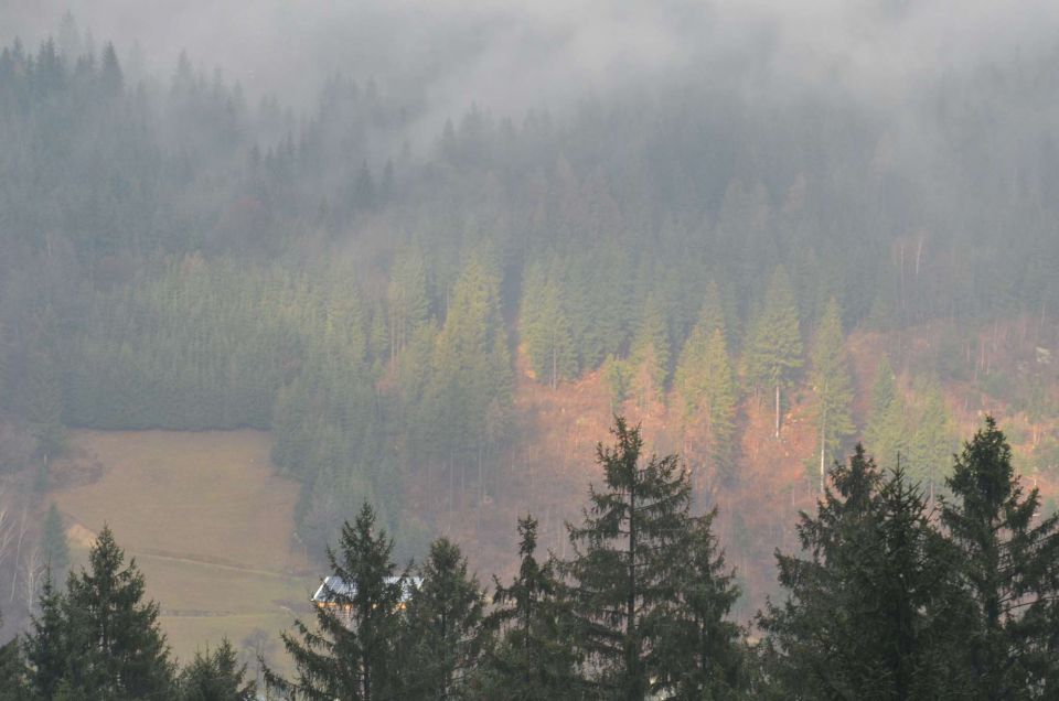 Novoletni utrinki in predvečer 70. roj. dne - foto povečava